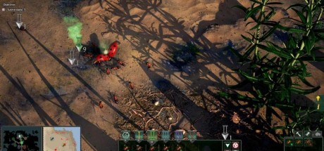 Empires of the Undergrowth PC Steam CD Key