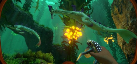 Subnautica PC Steam CD Key KING's Drop