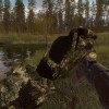 BULT: Hunting simulator PC Steam CD Key
