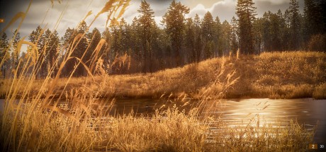 BULT: Hunting simulator PC Steam CD Key