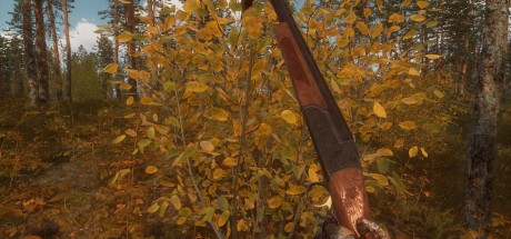 BULT: Hunting simulator PC Steam CD Key