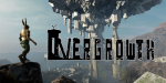 Overgrowth PC Steam CD Key