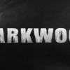 Darkwood LATAM PC Steam CD Key