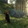 theHunter: Call of the Wild - Bloodhound DLC PC Steam CD Key (valid until March, 2027)