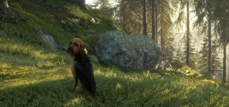 theHunter: Call of the Wild - Bloodhound DLC PC Steam CD Key (valid until March, 2027)