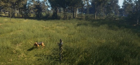 theHunter: Call of the Wild - Bloodhound DLC PC Steam CD Key (valid until March, 2027)