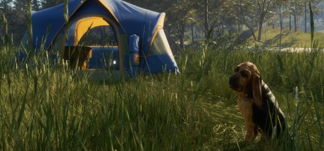 theHunter: Call of the Wild - Bloodhound DLC PC Steam CD Key (valid until March, 2027)