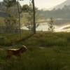 theHunter: Call of the Wild - Bloodhound DLC PC Steam CD Key (valid until March, 2027)