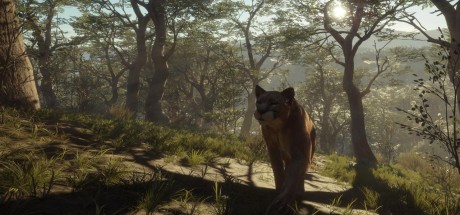 theHunter: Call of the Wild - Parque Fernando DLC PC Steam CD Key (valid until March, 2027)