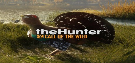 theHunter: Call of the Wild - Revontuli Coast DLC PC Steam CD Key (valid until March, 2027)