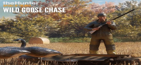 theHunter: Call of the Wild - Wild Goose Chase Gear DLC PC Steam CD Key (valid until March, 2027)