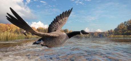 theHunter: Call of the Wild - Wild Goose Chase Gear DLC PC Steam CD Key (valid until March, 2027)