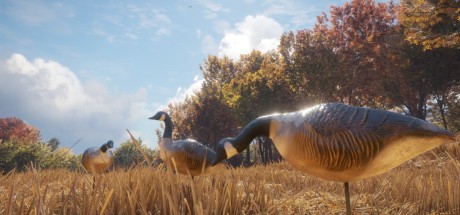 theHunter: Call of the Wild - Wild Goose Chase Gear DLC PC Steam CD Key (valid until March, 2027)