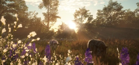 theHunter: Call of the Wild - Mississippi Acres Preserve DLC PC Steam CD Key (valid until March, 2027) theHunter: Call of the Wild - Mississippi Acres Preserve DLC PC Steam CD Key (valid until March, 2027)