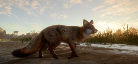 theHunter: Call of the Wild - Mississippi Acres Preserve DLC PC Steam CD Key (valid until March, 2027) theHunter: Call of the Wild - Mississippi Acres Preserve DLC PC Steam CD Key (valid until March, 2027)