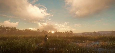 theHunter: Call of the Wild - Mississippi Acres Preserve DLC PC Steam CD Key (valid until March, 2027) theHunter: Call of the Wild - Mississippi Acres Preserve DLC PC Steam CD Key (valid until March, 2027)