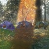 theHunter: Call of the Wild - Tents & Ground Blinds DLC PC Steam CD Key