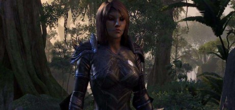 The Elder Scrolls Online Digital Download CD Key The Elder Scrolls Online Digital Download CD Key