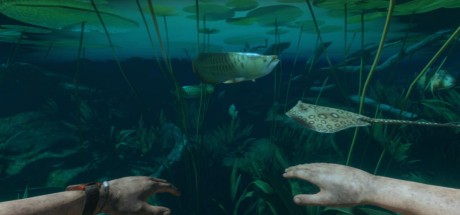 Green Hell NA Steam CD Key