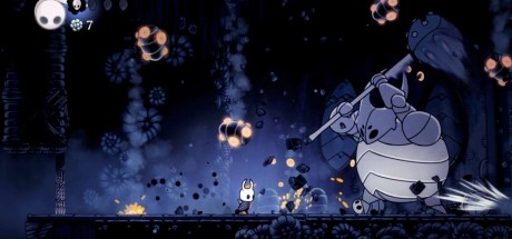Hollow Knight EU PC Steam CD Key