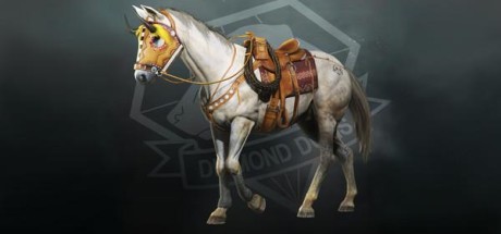 Metal Gear Solid V: The Phantom Pain - Western Tack DLC Steam CD Key