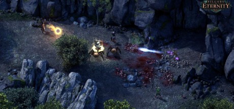 Pillars of Eternity Collection Bundle (Standard) Steam CD Key