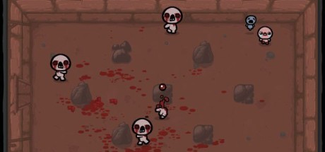 The Binding of Isaac PC Steam CD Key