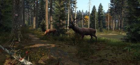 DayZ EU XBOX One CD Key