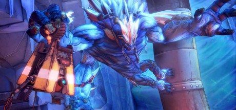 Borderlands 2: Collector's Edition DLC Pack EU Steam CD Key