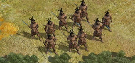 Sid Meier's Civilization V - Polynesian Civilization Pack DLC EU PC Steam CD Key