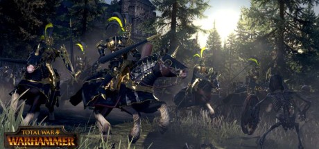 Total War: Warhammer - The Grim and the Grave DLC EU PC Steam CD Key