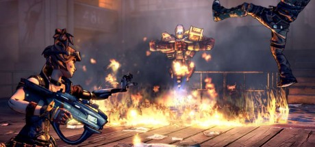 Borderlands 2 Mechromancer Pack DLC EU Steam CD Key