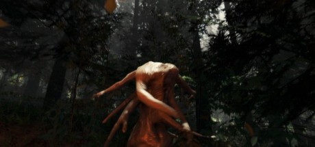 The Forest PC Steam CD Key
