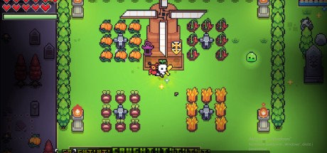 Forager US Nintendo Switch CD Key