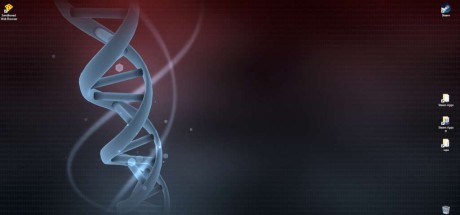 Wallpaper Engine Steam CD Key