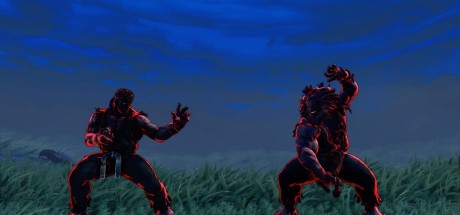 Street Fighter V - Champion Edition Special Color DLC EU PS4 CD Key