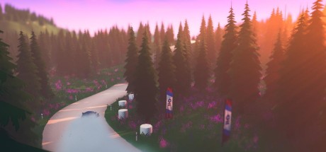 Art of Rally Steam CD Key