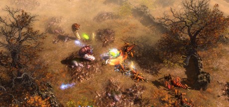 Grim Dawn Definitive Edition GOG CD Key