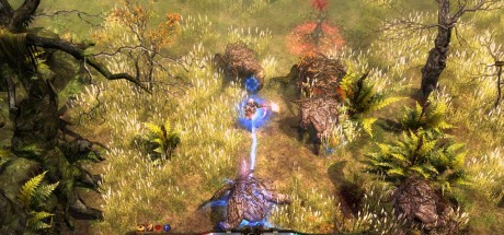 Grim Dawn Definitive Edition GOG CD Key