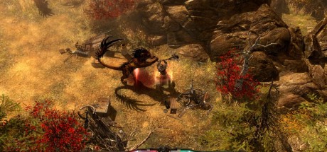 Grim Dawn Definitive Edition GOG CD Key