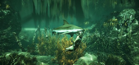 Maneater US XBOX One CD Key