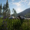 theHunter: Call of the Wild - Silver Ridge Peaks DLC EU Steam CD Key