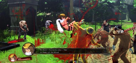 Onee Chanbara ORIGIN Steam CD Key