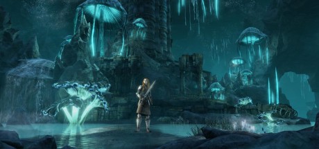 The Elder Scrolls Online: Greymoor Digital Collector’s Edition US XBOX One CD Key