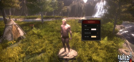 Wild Terra 2: New Lands Steam CD Key