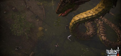 Wild Terra 2: New Lands Steam CD Key