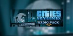 Cities: Skylines - Radio Station DLC Bundle Steam CD Key