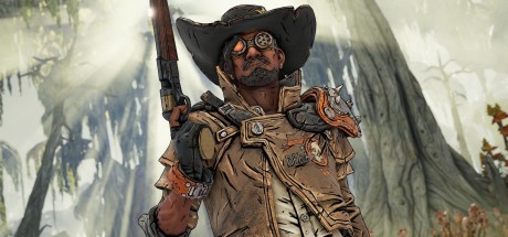 Borderlands 3 - Director's Cut DLC PC Steam CD Key