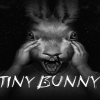 Tiny Bunny PC Steam CD Key Tiny Bunny PC Steam CD Key