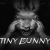 Tiny Bunny PC Steam CD Key